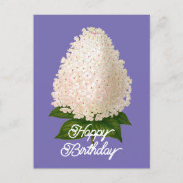 Elegante Vintage Hydrangea Paniculata Verjaardag Briefkaart