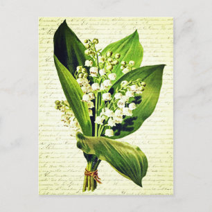 Elegante Vintage Lelietje-van-dalen Bloemen Briefkaart