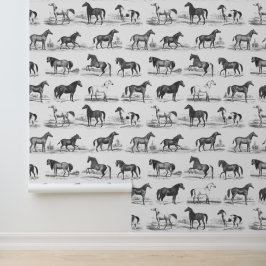 Elegante Vintage Paardenrassen Patroon Zwart Wit Behang