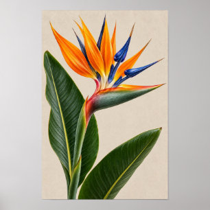 Elegante Vintage Paradijsvogel Bloemstuk Muurkunst Poster