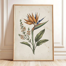 Elegante Vintage Paradijsvogel Poster