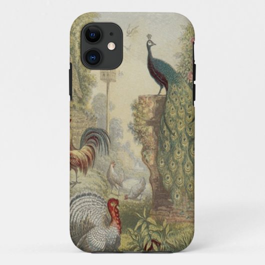 Elegante vintage pauw & andere vogels Case-Mate iPhone case (Achterkant)