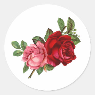 Elegante vintage rozen roze rood ronde sticker