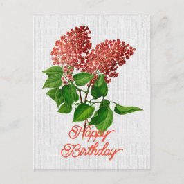 Elegante Vintage Syringa Vulgaris Bloem Verjaardag Briefkaart