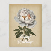 Elegante Vintage Witte Pioenroos Happy Verjaardag Briefkaart (Voorkant)