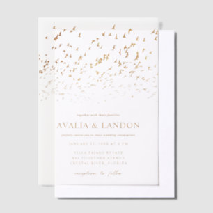 Elegante Vogels van een Veer Zwart en Gouden Bruil Vellum Uitnodigingen