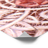 Elegante vrouw, rozen pet, poster met loopvlakdeco (Hoek)