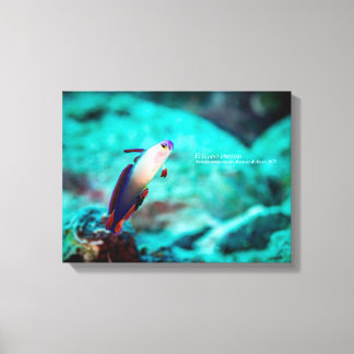 Elegante vuurvis canvas afdruk