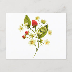 Elegante waterverf-aardbeienplant met bloemen briefkaart