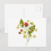 Elegante waterverf-aardbeienplant met bloemen briefkaart (Voorkant / Achterkant)