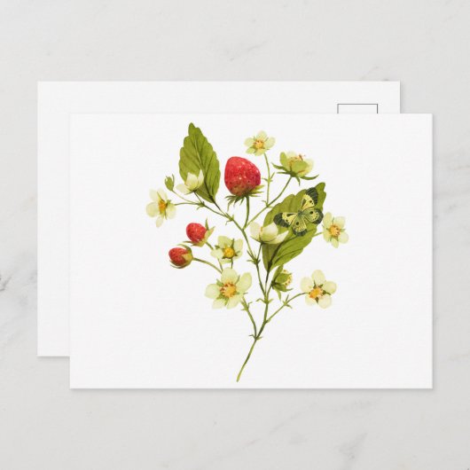 Elegante waterverf-aardbeienplant met bloemen briefkaart (Voorkant / Achterkant)