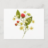 Elegante waterverf-aardbeienplant met bloemen briefkaart (Voorkant)