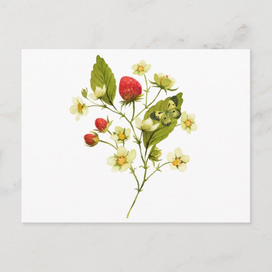 Elegante waterverf-aardbeienplant met bloemen briefkaart (Voorkant)