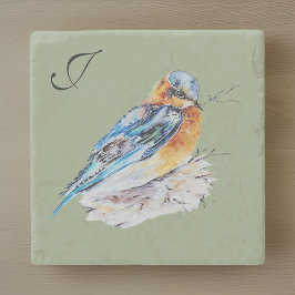 Elegante Waterverf Blauwe Vogel Monogram Stenen Onderzetter