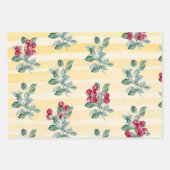 Elegante Waterverf Bloemen en bessen Assorted Inpakpapier Vel (Voorkant 3)