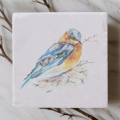 Elegante Waterverf Bluebird Natuur Stenen Onderzetter