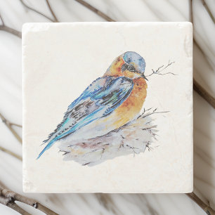 Elegante Waterverf Bluebird Natuur Stenen Onderzetter