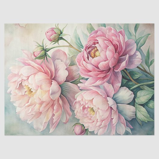 Elegante waterverf blush roze pioenroos boeket tissuepapier (Voorkant)