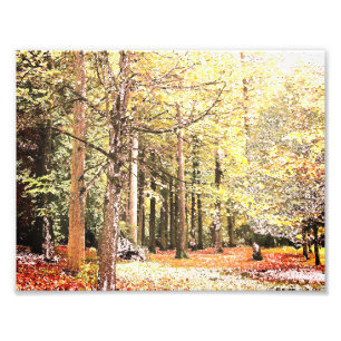 Elegante waterverf bosbomen in de herfst foto afdruk