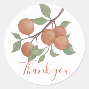 Elegante waterverf citrus steel/ sinaasappels ontw ronde sticker