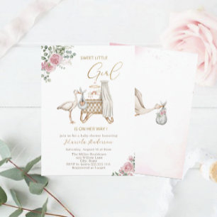 Elegante Waterverf Ooievaar Baby Meisje Baby showe Kaart