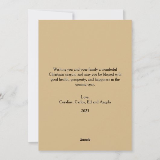 Elegante Waterverf Sinaasappel Slices Kaneel Flat Feestdagenkaart (Achterkant)