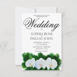 Elegante waterverf witte orchideeën kaart