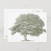 Elegante Wedding Tree Graphic Sjabloon Briefkaart (Voorkant / Achterkant)