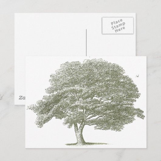 Elegante Wedding Tree Graphic Sjabloon Briefkaart (Voorkant / Achterkant)