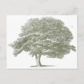 Elegante Wedding Tree Graphic Sjabloon Briefkaart (Voorkant)