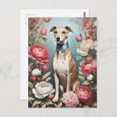 Elegante Whippet Roze Pioen Bloemen Blauwe achterg Briefkaart (Voorkant / Achterkant)