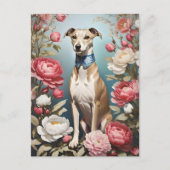 Elegante Whippet Roze Pioen Bloemen Blauwe achterg Briefkaart (Voorkant)