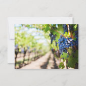 Elegante Wijn en Wijngaard wijnstokken bruiloft Ka Kaart (Achterkant)