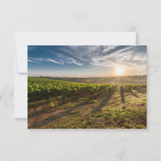 Elegante Wijn en Wijngaard wijnstokken bruiloft Ka Kaart (Achterkant)