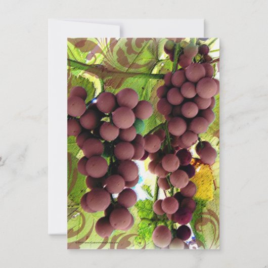 Elegante Wijngaard Paars/Groen Foto Bewaar de Datu Save The Date (Achterkant)