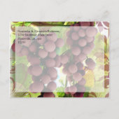 Elegante wijngaard Paarse/Groene Druiven Bewaar de Aankondigingskaart (Achterkant)