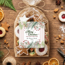 Elegante Winter Roze Prettig Kerstmis Familienaam