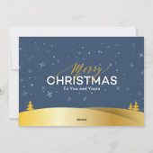 Elegante Winter Wonderland Sneeuwvlokken Familiefo Feestdagenkaart (Achterkant)