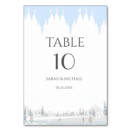 Elegante Winter Wonderland Sneeuwvlokken Kaart