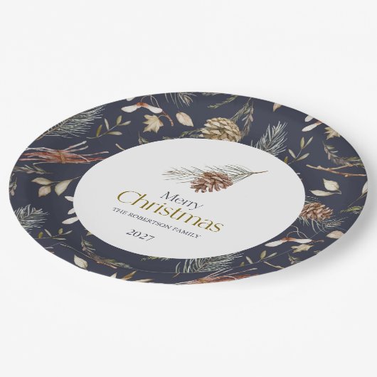 Elegante winterpapier Borden met pinecones Papieren Bordje (Gekanteld)