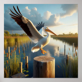 Elegante witte Amerikaanse pelikaan in serene wetl Poster