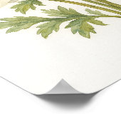 Elegante witte anemoon bloemige botanische Waterve Poster (Hoek)