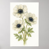 Elegante witte anemoon bloemige botanische Waterve Poster (Voorkant)