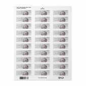 Elegante witte bal, sneeuw etiket (Full Sheet)