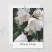 Elegante Witte Bloem Bruiloftsinvatie Kaart (Achterkant)