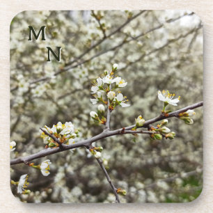 Elegante Witte Bloem Lente Bloesem Persoonlijk Bier Onderzetter