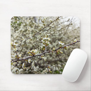 Elegante Witte Bloem Lente Bloesem Persoonlijk Muismat