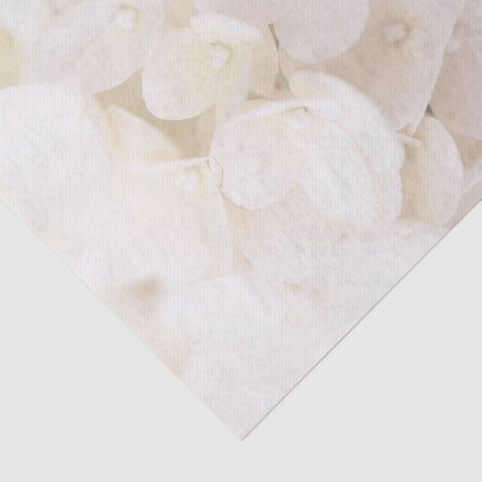 Elegante witte bloemblaadjes bloemenpapier tissuepapier (Detail)