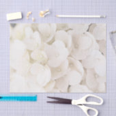 Elegante witte bloemblaadjes bloemenpapier tissuepapier (Craft)