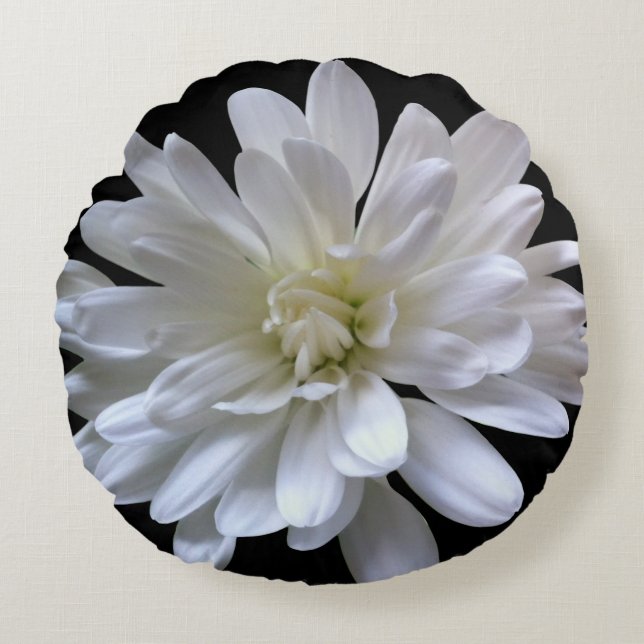 Elegante witte bloemen bloem White Daisy Rond Kussen (Voorkant)